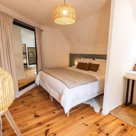 Maison Pyrenea Grand Prestige Saint-lary Holiday home *